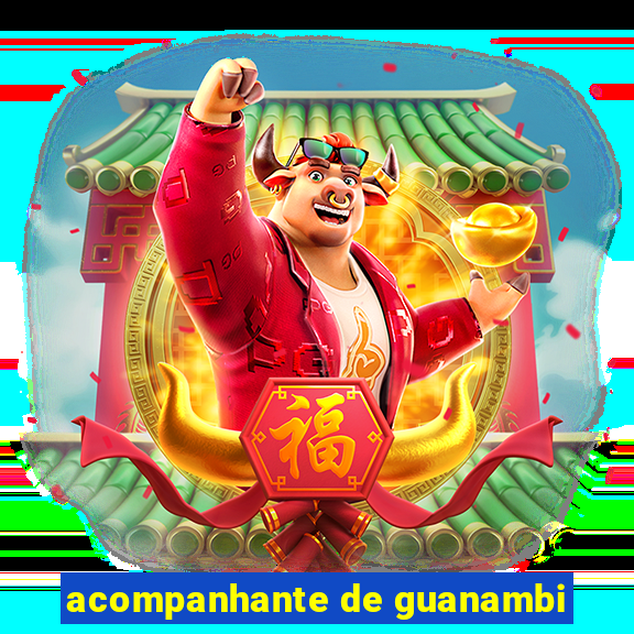 acompanhante de guanambi